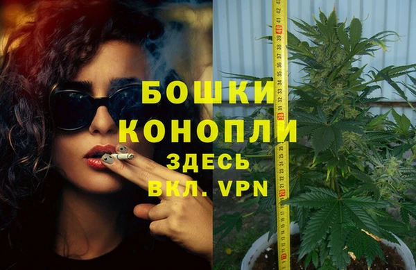 твердый Аркадак