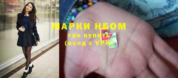 твердый Аркадак