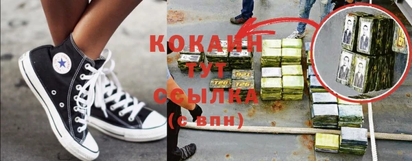 твердый Аркадак
