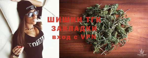 стафф Арсеньев