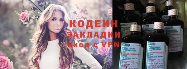 прущие грибы Армянск