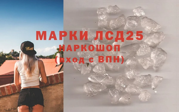 прущие грибы Армянск