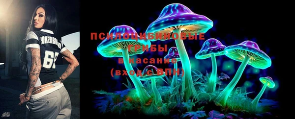 прущие грибы Армянск